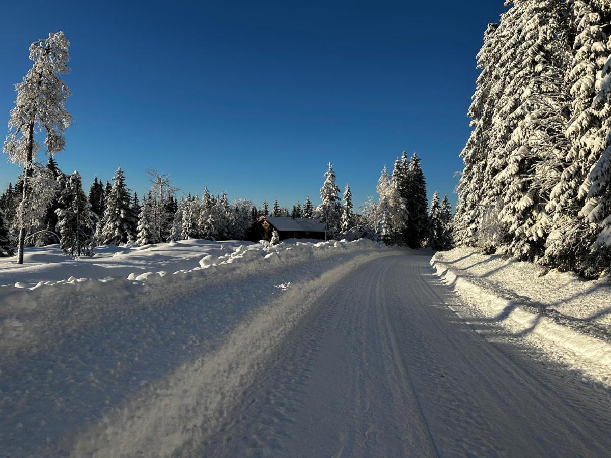 Sore Osen Orbekken Torberget Buitenkant foto