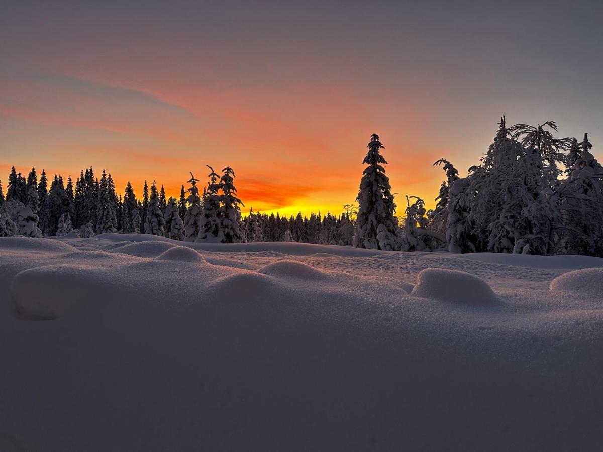 Sore Osen Orbekken Torberget Buitenkant foto