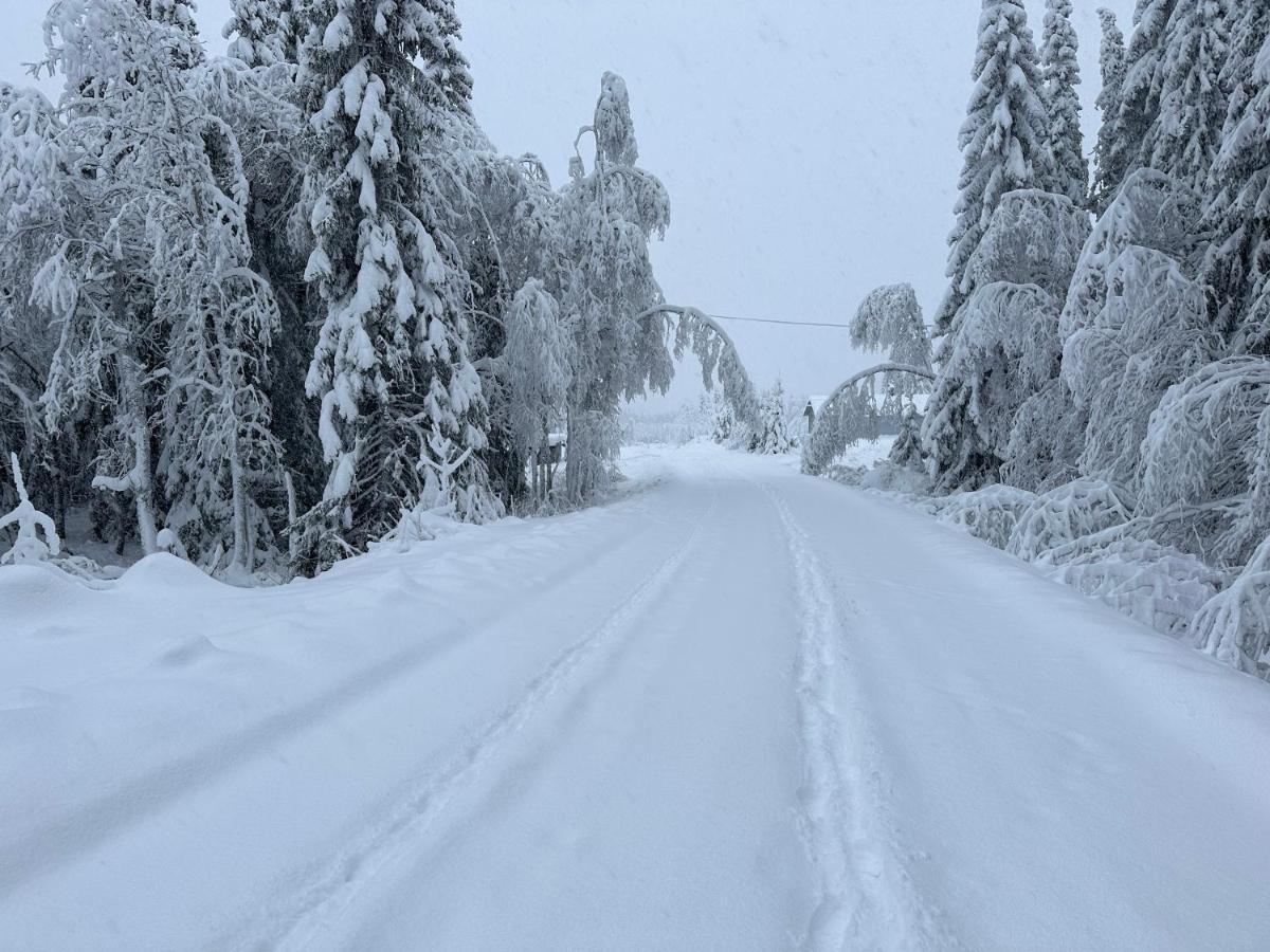 Sore Osen Orbekken Torberget Buitenkant foto
